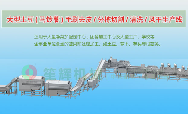 湖口连续式土豆去皮清洗切割风干生产线